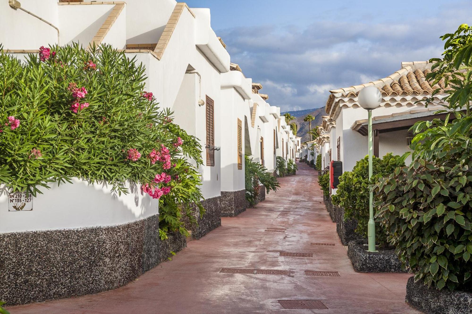 Royal Tenerife Country Club Σαν Μιγκέλ ντε Αμπόνα Εξωτερικό φωτογραφία